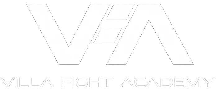 Villa Fight Academy Logo